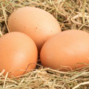 Farm Fresh Eggs