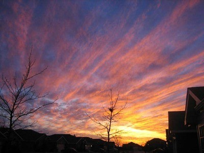 Sunset with bird's nest.