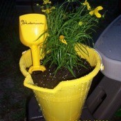Planted yellow pail.