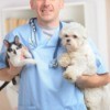 A happy veterinarian holding a dog and a cat.