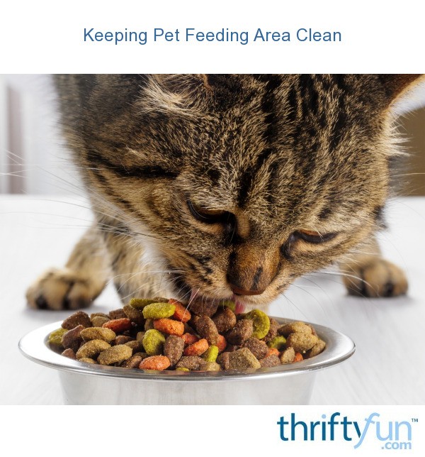 Keeping Pet Feeding Area Clean | ThriftyFun