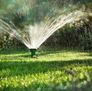 Sprinkler Watering Lawn