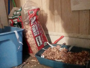 Cedar Shavings as Kitty Litter Alternative