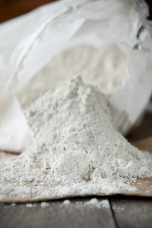 Food Grade Diatomaceous Earth