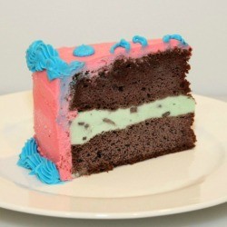 Mint Chocolate Chip Ice Cream Cake