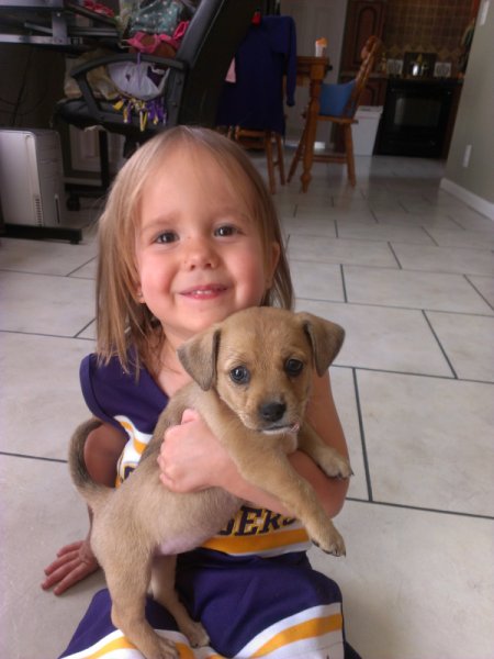 Little girl holding a small brown puppy.