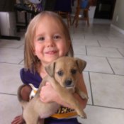 Little girl holding a small brown puppy.