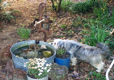 Frosty considering a drink.