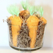 Carrot Treat Bags