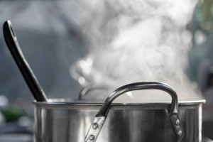Stew cooking in a stainless steel pan.
