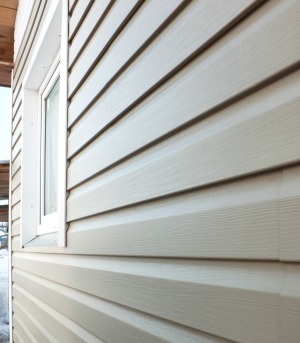 House With Vinyl Siding