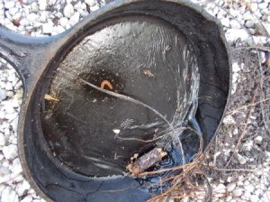 Cast iron skillet with pine sap.