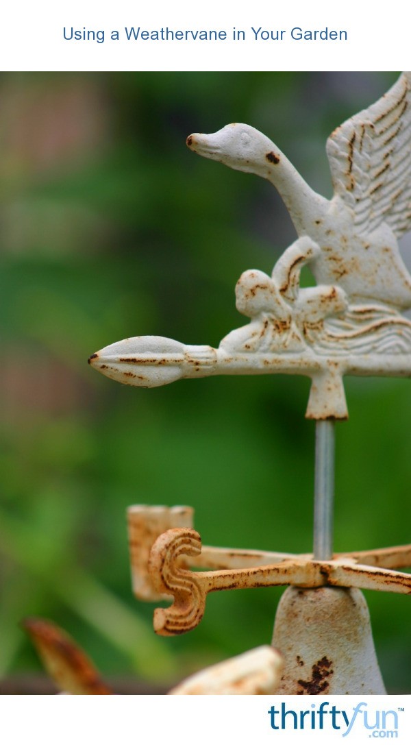 Using a Weathervane in Your Garden ThriftyFun