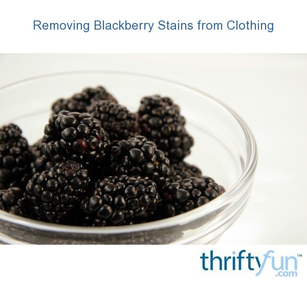 Removing Blackberry Stains from Clothing ThriftyFun