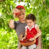A mother and daughter picking cherries.