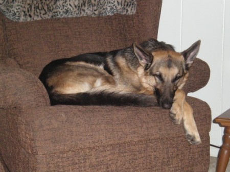 Lying in an armchair.