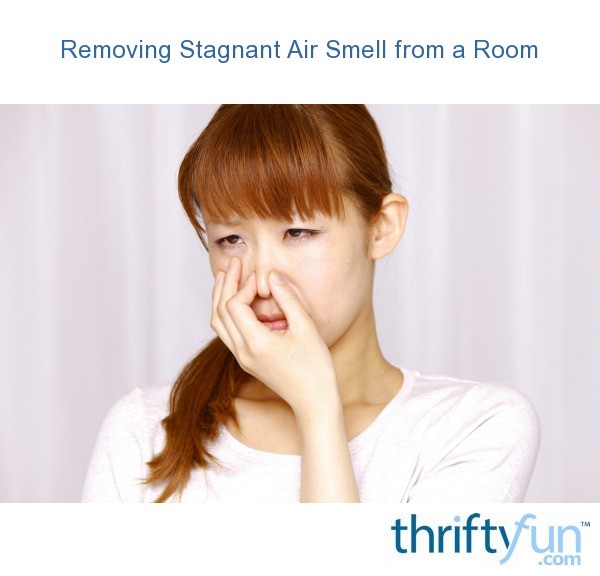 Removing Stagnant Air Smell from a Room? ThriftyFun
