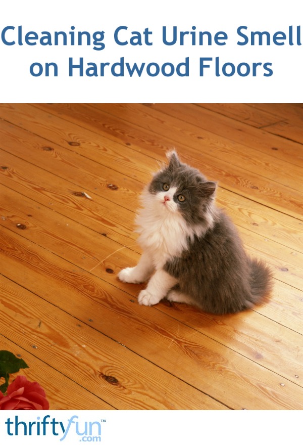 Cleaning Cat Urine Smell On Hardwood Floors Thriftyfun