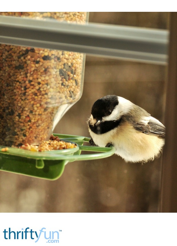 Storing Bird Seed ThriftyFun