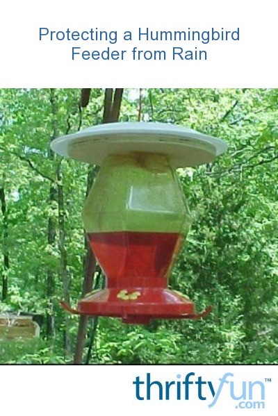 Protecting A Hummingbird Feeder From Rain Thriftyfun