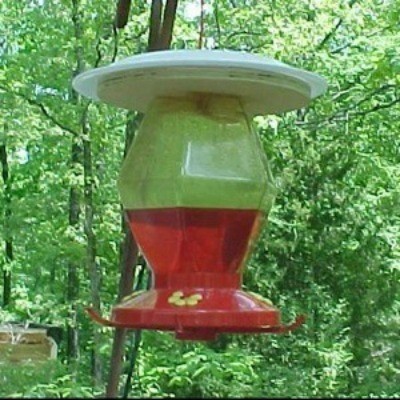 HummingbirdFeeder