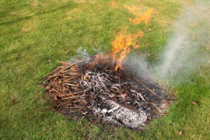 Burning brush in a backyard.