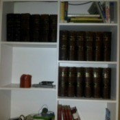 volumes on bookshelves