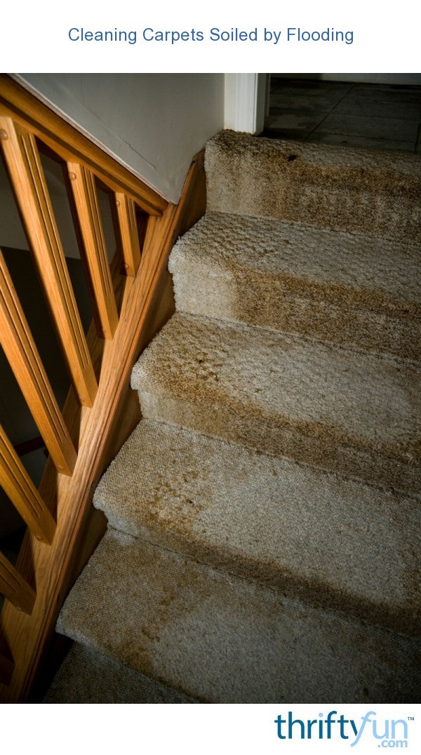 Cleaning Carpets Soiled by Flooding ThriftyFun