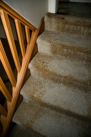 Carpeted stairs damaged by flooding.