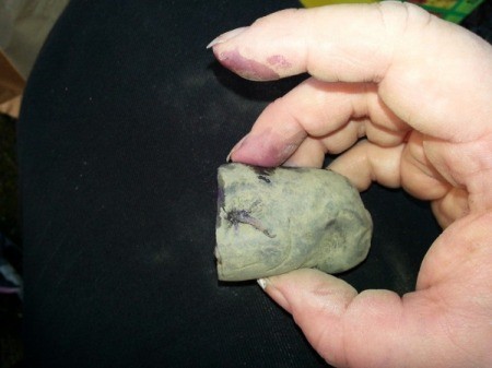 hand holding a small piece of seed potato