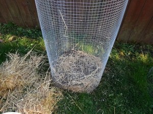 side view of cage with first layer of mulch added