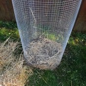 side view of cage with first layer of mulch added