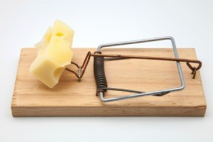 Mouse Trap With Cheese