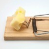Mouse Trap With Cheese