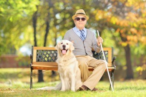 Blind Man With Dog