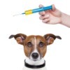 Vaccinating Your Dog