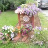 planter boxes and flower pots