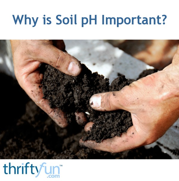 Why Soil PH Is So Important ThriftyFun