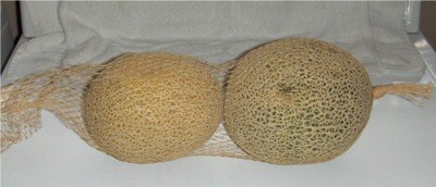 mesh cantaloup bag