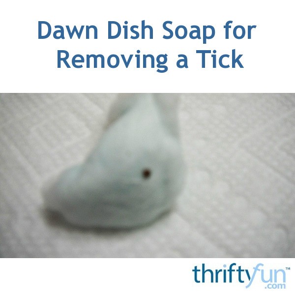 Dawn Dish Detergent for Removing a Tick ThriftyFun
