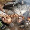 Sword fern near fire