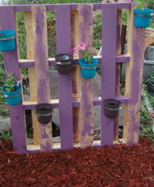 Pallet Garden