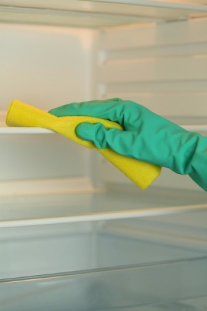 Refrigerator Care and Cleaning Tips