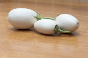 Three white eggplants from an Easter Egg plant.
