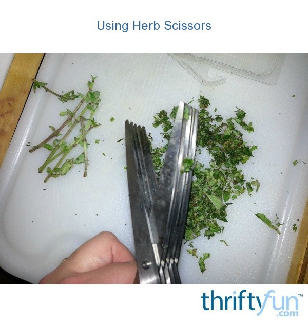 Using Herb Scissors ThriftyFun
