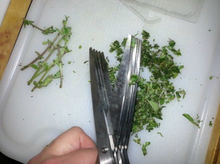 herb scissors