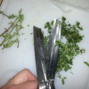 herb scissors