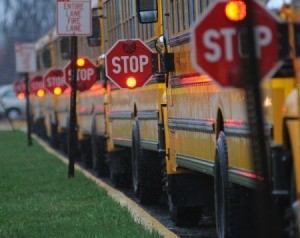 School Buses