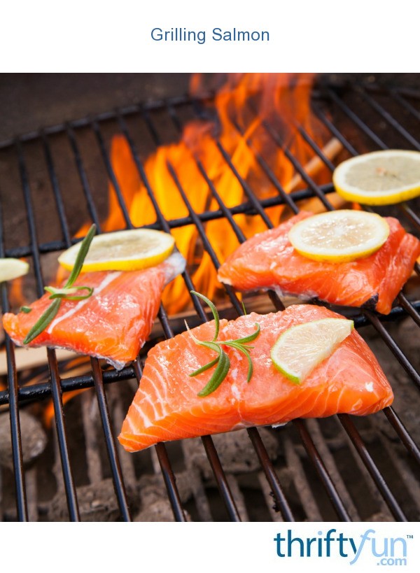 George Foreman Grill Salmon Fillet Recipes | Dandk Organizer