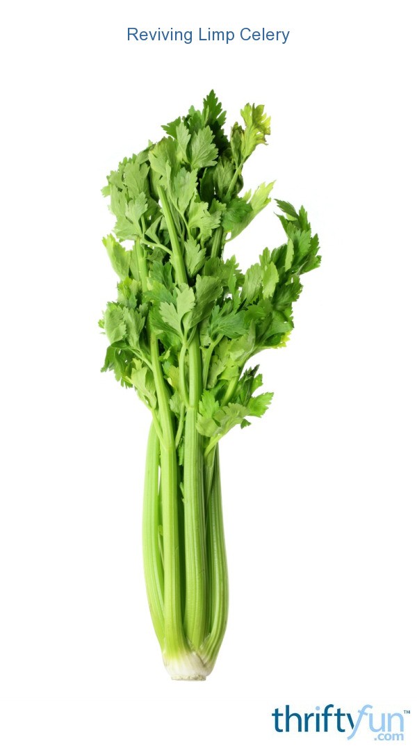 Reviving Limp Celery Thriftyfun